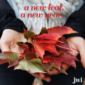 New Leaf