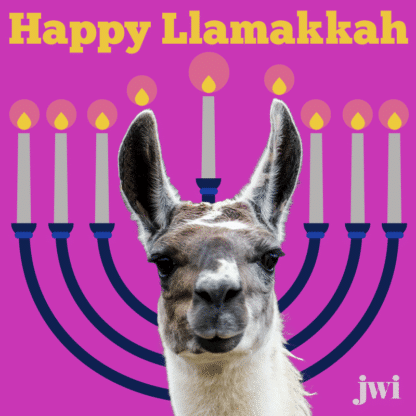 Happy Llamakkah
